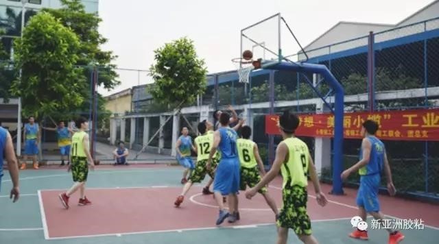 3118云顶集团篮球精英